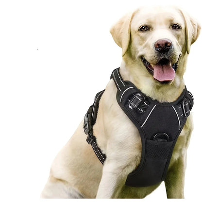 No Pull Dog Harness